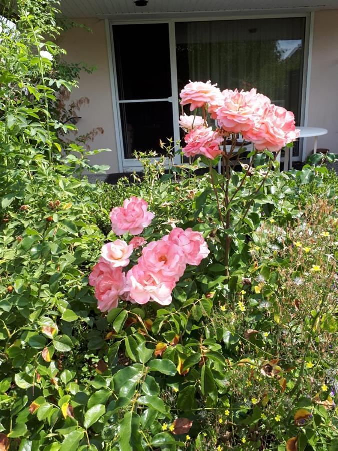 Entire House, Quiet City Location, Garden, Parking Bielefeld Ngoại thất bức ảnh